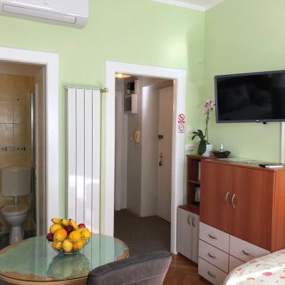 Apartment Room in Zagreb